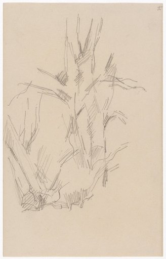 Bare Trees
