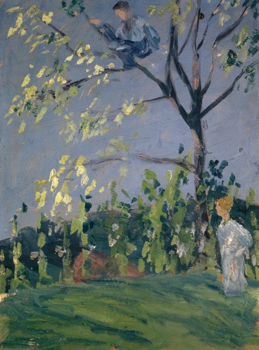 Boy in a Tree