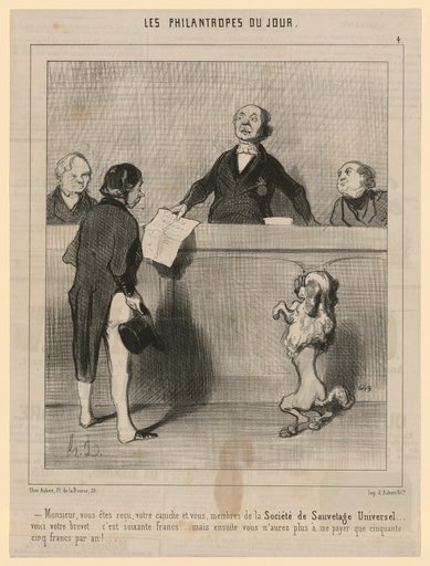 Sir, You Are Accepted, Your Poodle [...]