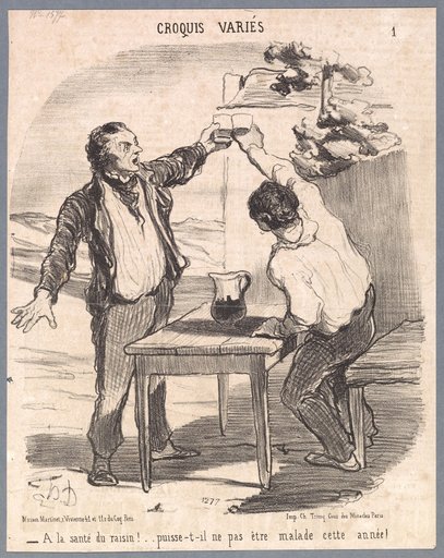 To the Health of the Grapes! [...]