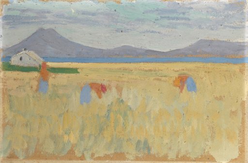 Harvest on the Balearic Islands