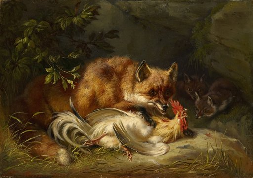 Fox Catching a Rooster