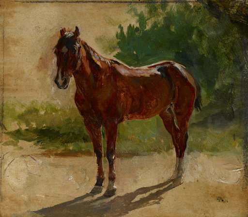 Study of a Bay Horse