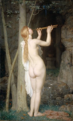 The Charmer