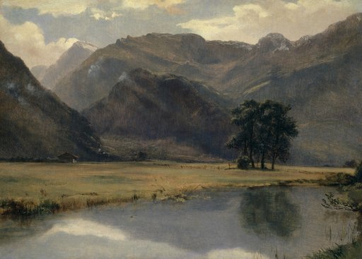 Landscape in the Canton of Uri