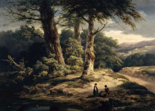Forest Landscape