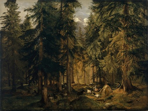 High Mountain Forest with a Herd of Goats