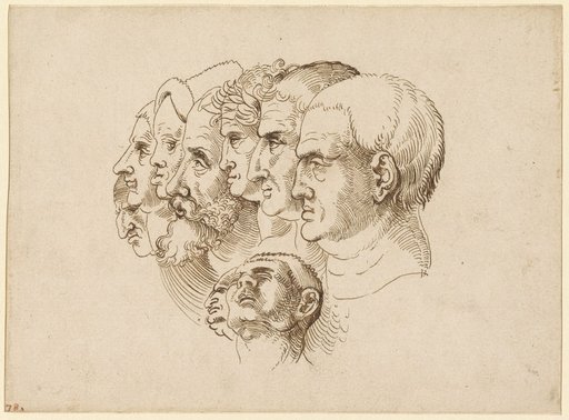 Study Sheet with Nine Profile Heads