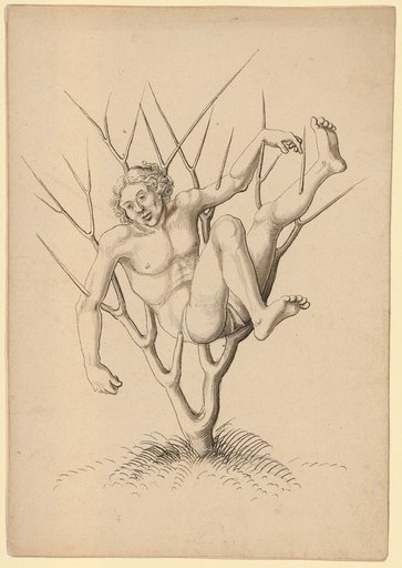 Martyr impaled on a thorn bush