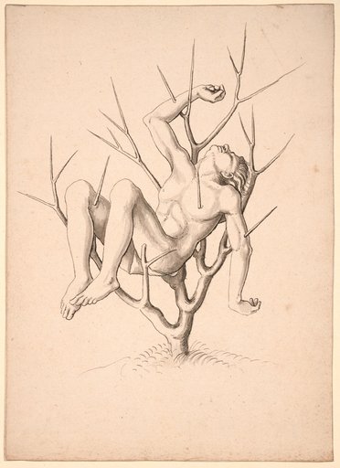 Martyr impaled on a thorn bush