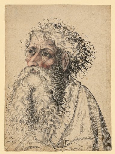 Bust of a bearded man, facing left