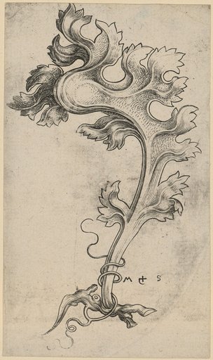 (First) Scroll Ornament