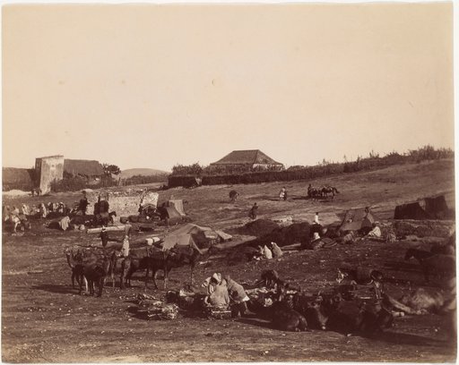 Bedouins near Tangier