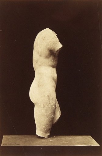 Franck Buchser's Torso
