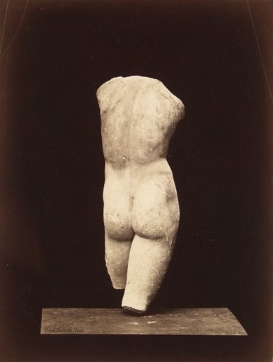 Franck Buchser's Torso