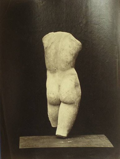 Franck Buchser's Torso