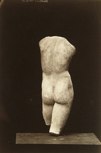 Franck Buchser's Torso