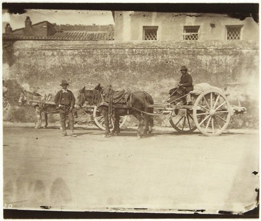 A Mule and a Donkey Cart