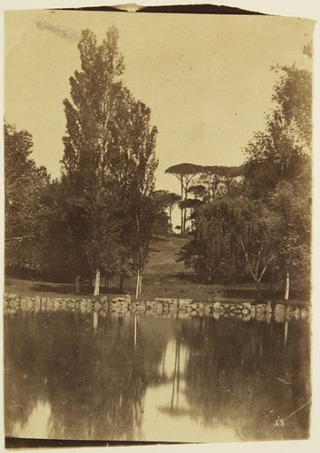 Garden with a Water Basin