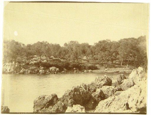Coastal Landscape on Corfu (?)