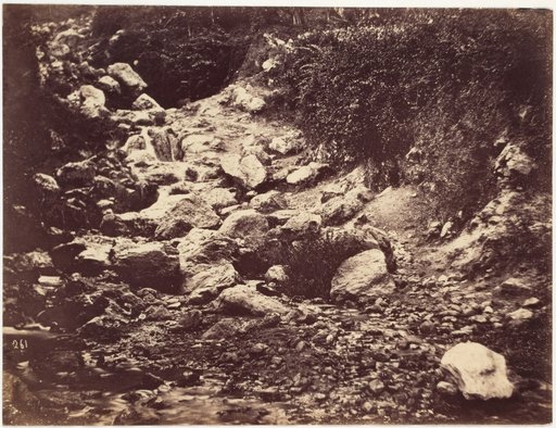 Dried-up Riverbed