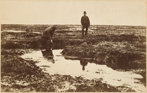 Two Men in the South Bay of Scarborough at Low Tide
