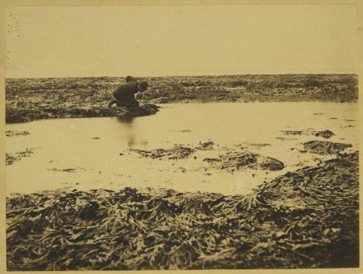 Man in South Bay, Scarborough, at Low Tide