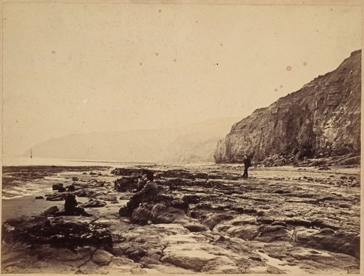 Coast near Scarborough with Strollers