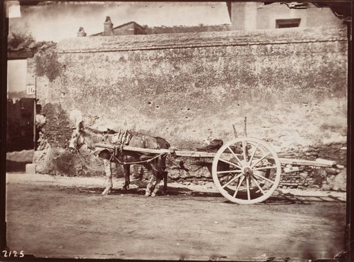 Donkey Cart