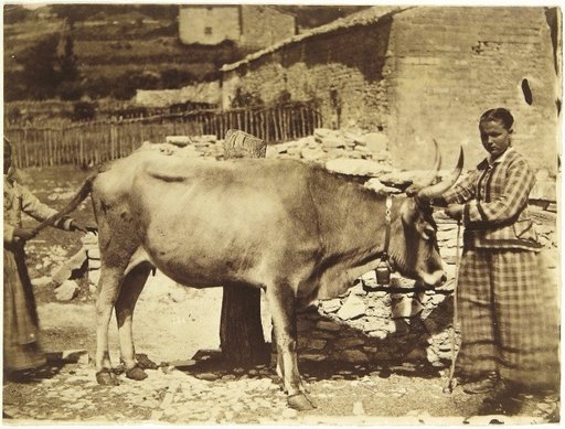Two women with a cow in the Roman Campagna