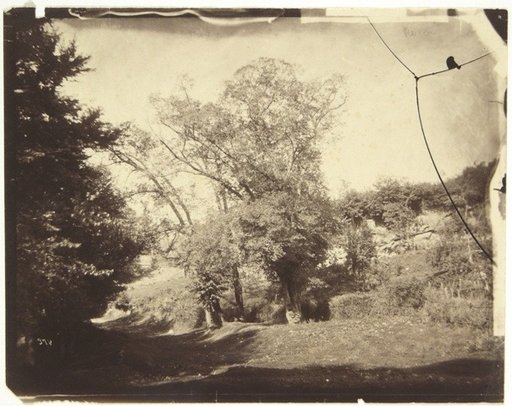 Country road near Rome (Nervi)