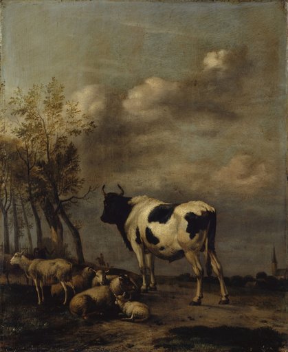 Pasture with a black-and-white bull