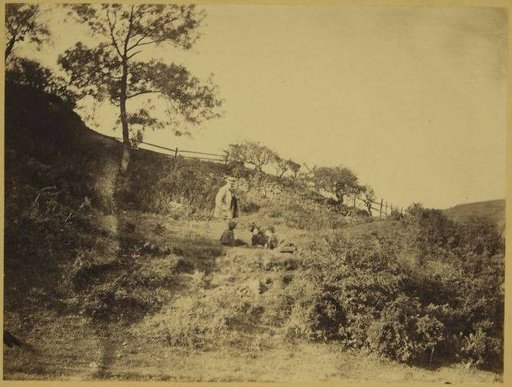 Children resting on a meadow with an older man