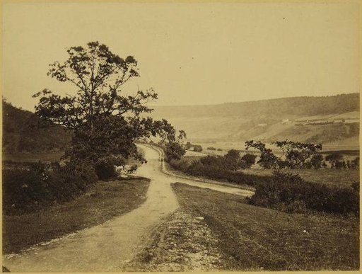 Crossroads with a horse-drawn cart