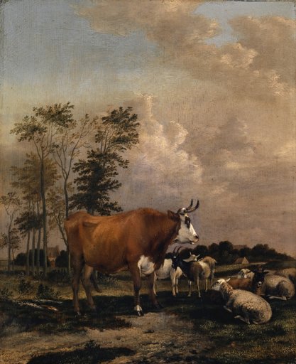 Pasture with a brown bull