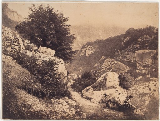 Rocky landscape