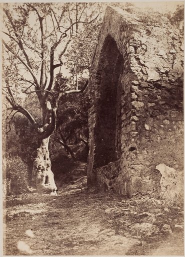 Waycross at the roadside in the vicinity of Rome