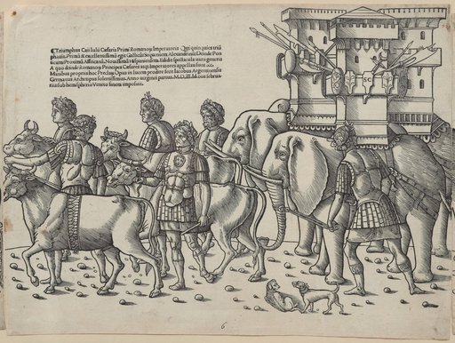War Elephants
