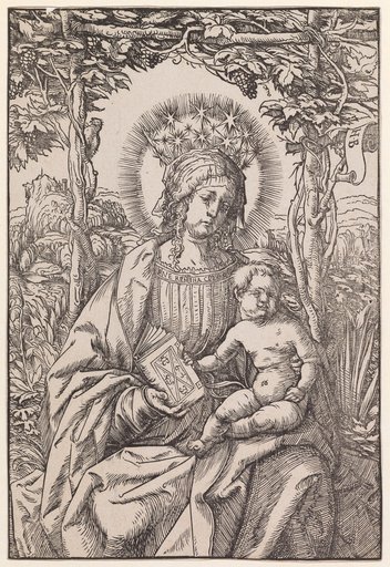 Madonna and Child in a Vine Arbor