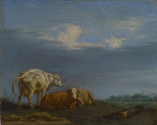 Cows at Pasture
