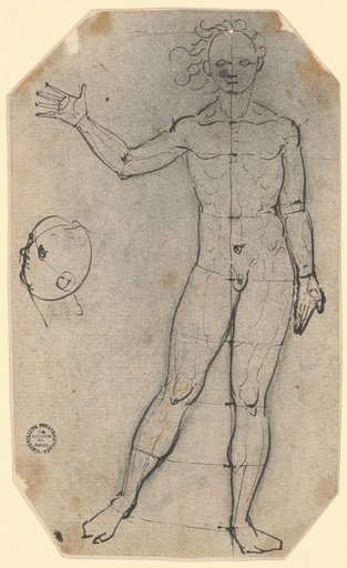 Proportion Study of a Male Body and Head Study