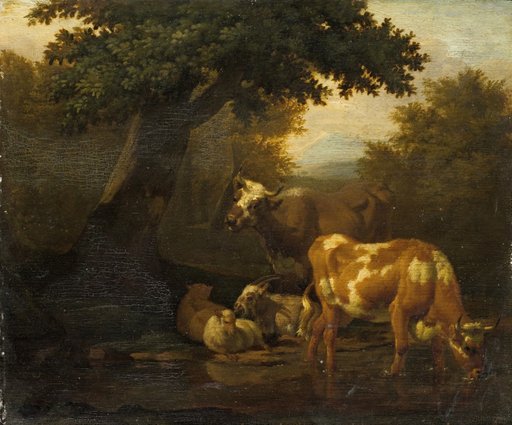 Cattle at the Trough
