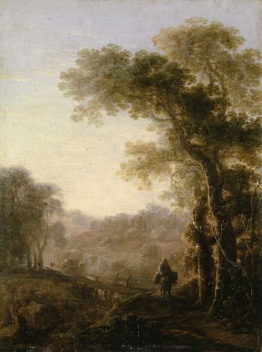 Forest Landscape