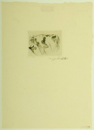 Study of a Cow