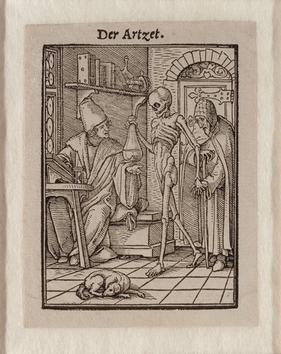 The Physician