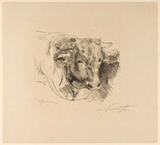 Bull's head