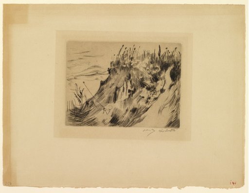 Dune