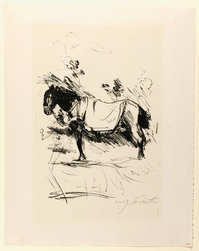 Riding Horse