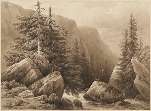 Mountain Stream Between Rocks