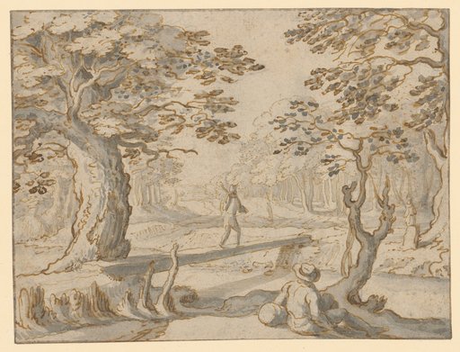 Small Stream in a Lightly Wooded Forest